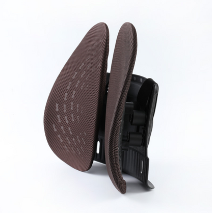Alinae Ergonomic Lumbar Support Cushion