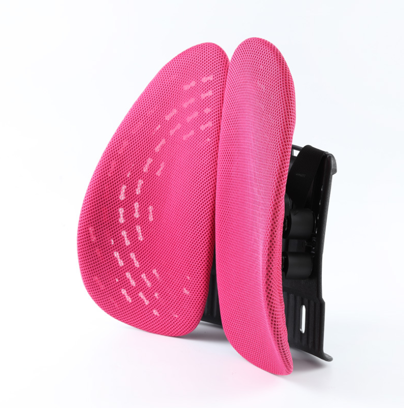 Alinae Ergonomic Lumbar Support Cushion