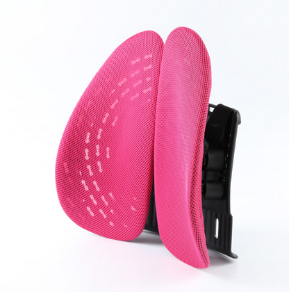 Alinae Ergonomic Lumbar Support Cushion