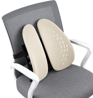 Alinae Ergonomic Lumbar Support Cushion