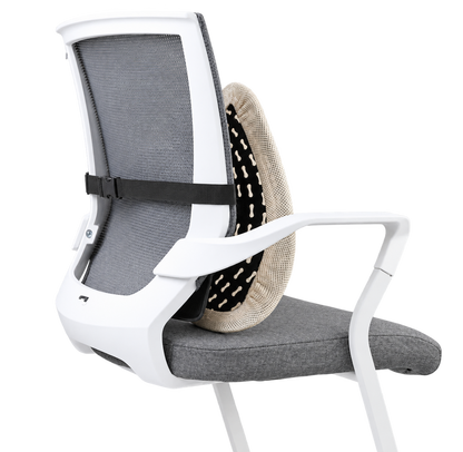 Alinae Ergonomic Lumbar Support Cushion