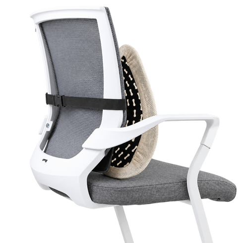 Alinae Ergonomic Lumbar Support Cushion