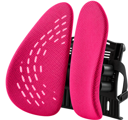Alinae Ergonomic Lumbar Support Cushion