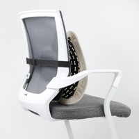 Alinae Ergonomic Lumbar Support Cushion